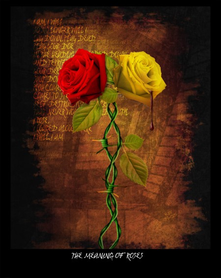 the_meaning_of_roses_by_pixelmunky.jpg